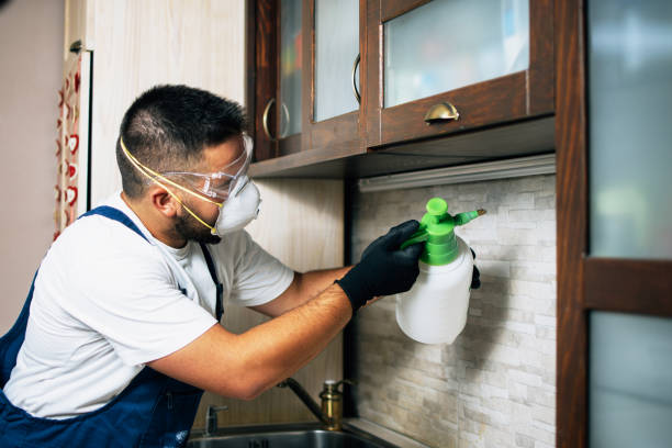 Best Affordable Exterminators  in New Brunswick, NJ